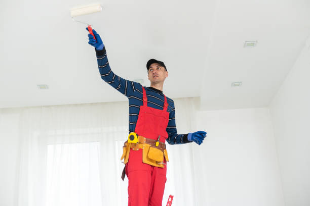 Best Drywall Sanding and Smoothing  in Pikesville, MD